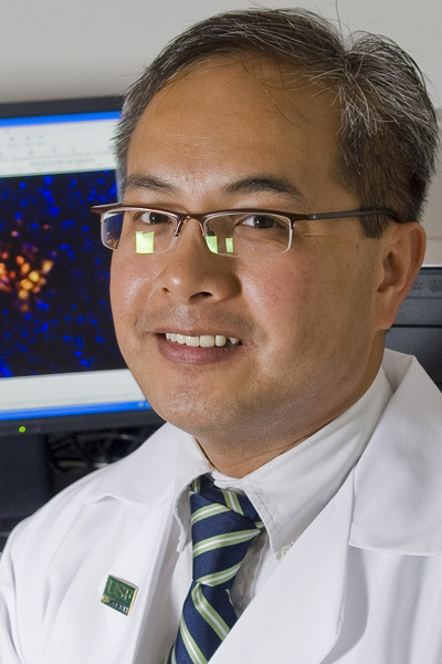 Cesar Borlongan, Center of Excellence in Aging and Brain Repair